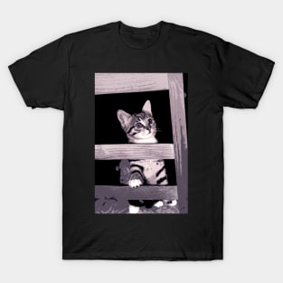 the little cat T-Shirt